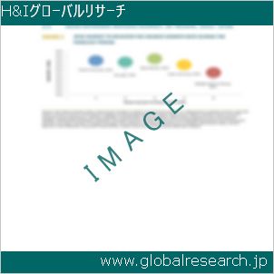グローバルリサーチ調査レポートのイメージ